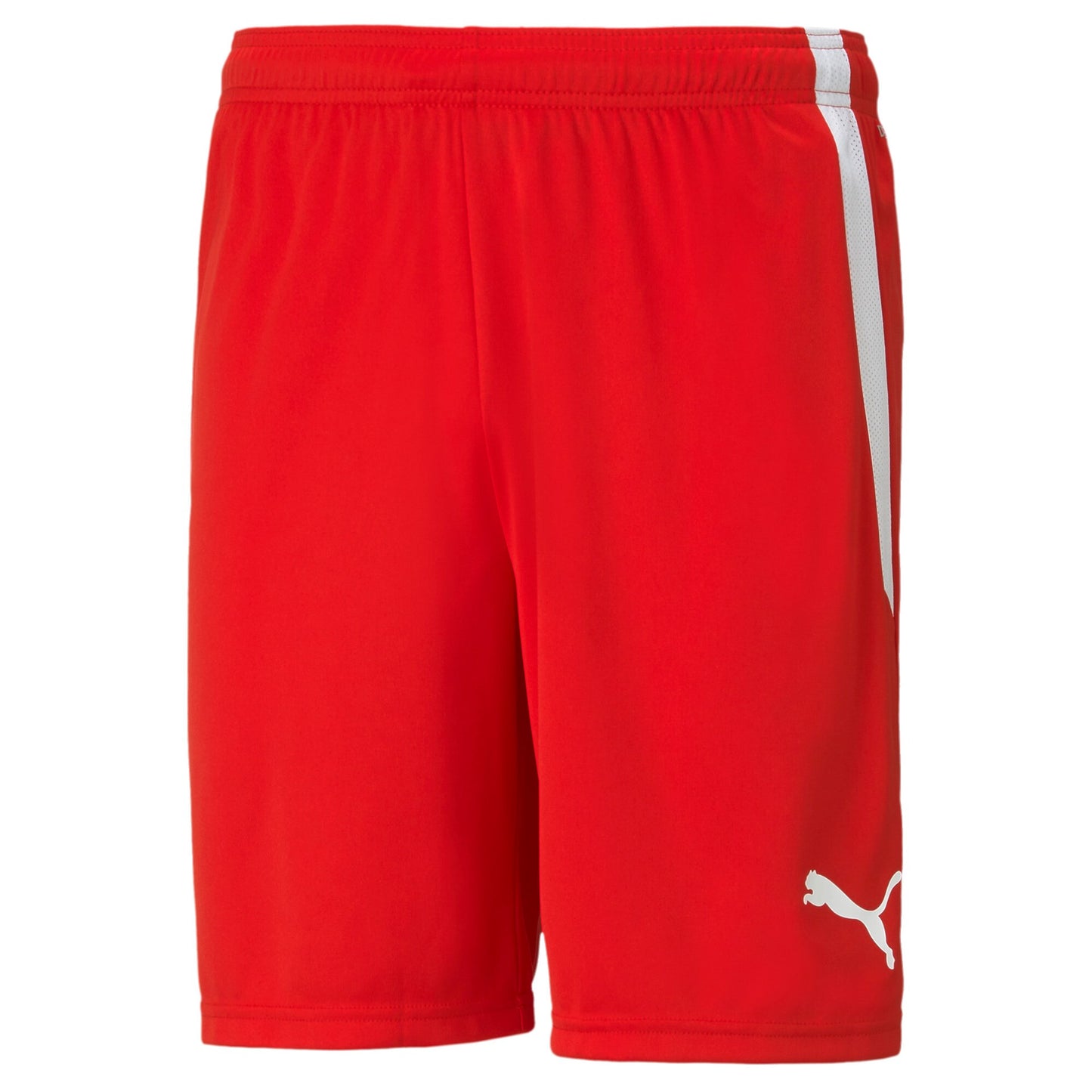 Puma TEAMLIGA SHORTS Voksen x 13 stk.