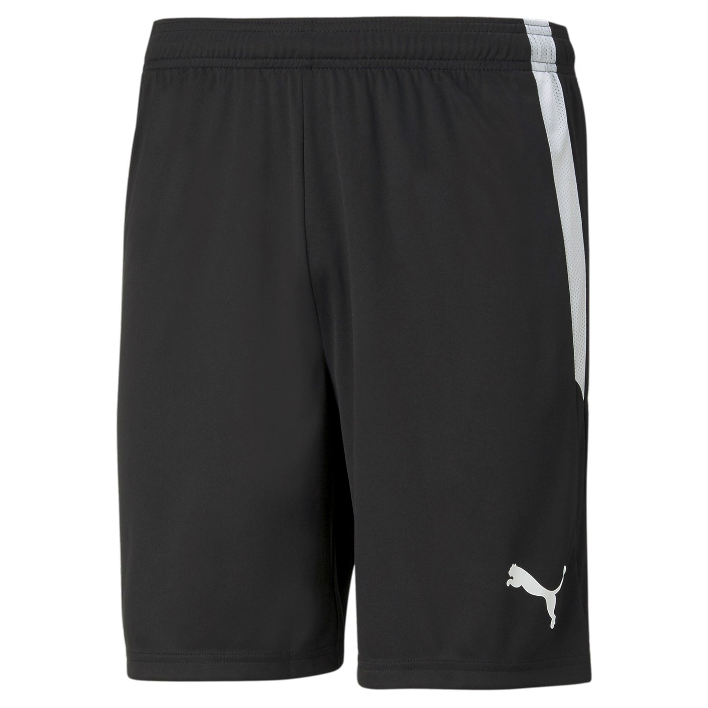 Puma TEAMLIGA SHORTS Voksen x 13 stk.