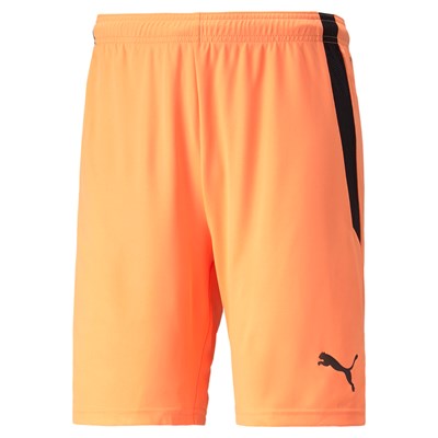 Puma TEAMLIGA SHORTS Voksen x 13 stk.