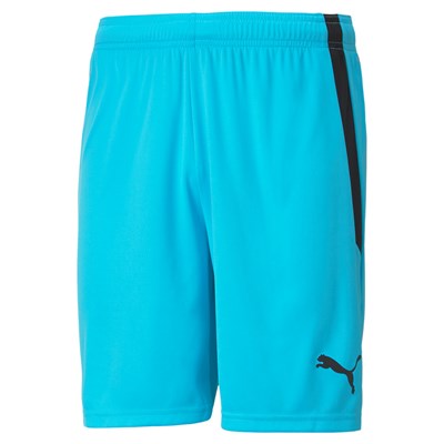 Puma TEAMLIGA SHORTS Voksen x 13 stk.