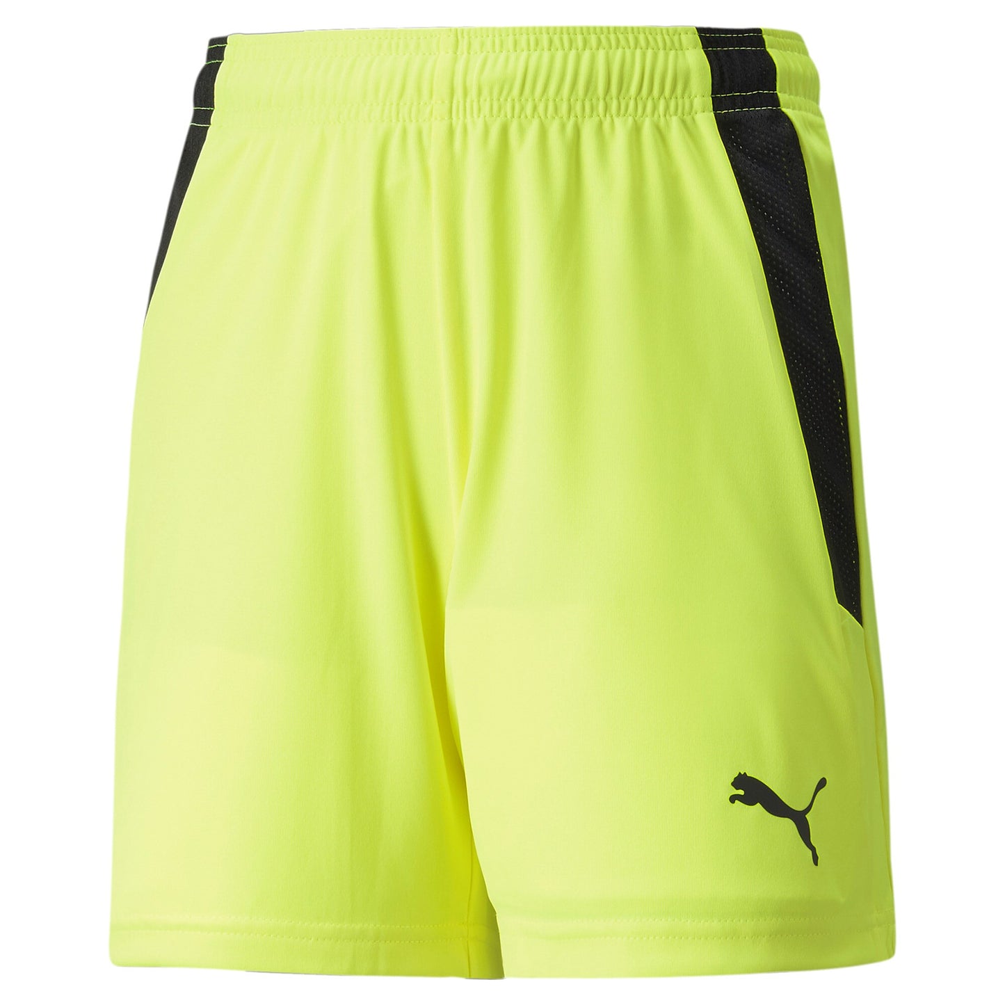 Puma TEAMLIGA SHORTS Børn x 13 stk.