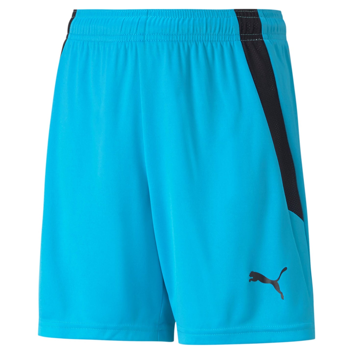 Puma TEAMLIGA SHORTS Børn x 13 stk.