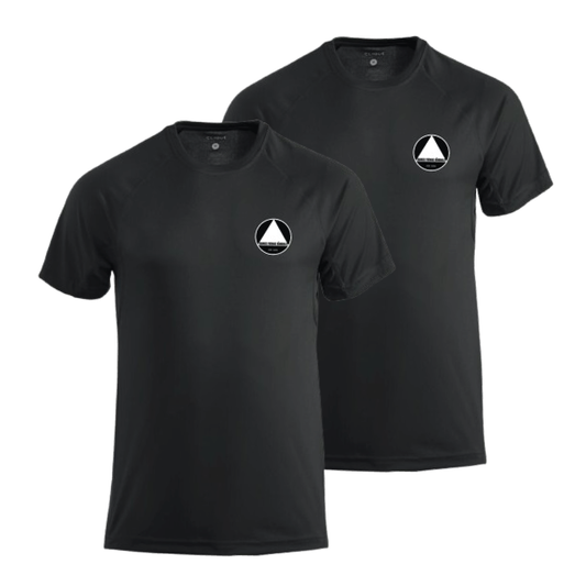 Trænings t-shirt i polyester 2-pak - kampagnepris