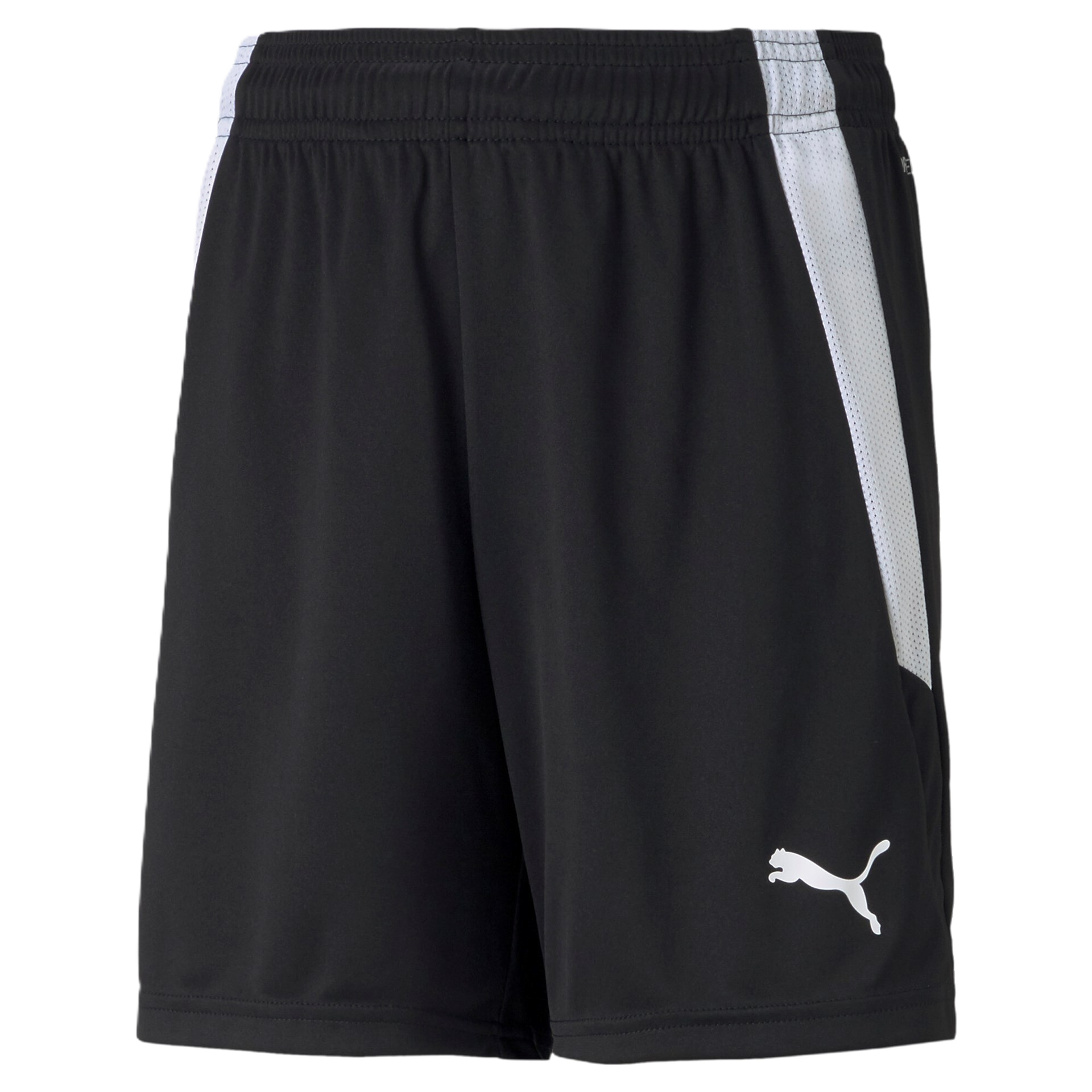 Puma TEAMLIGA shorts til børn