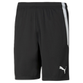 Puma TEAMLIGA shorts