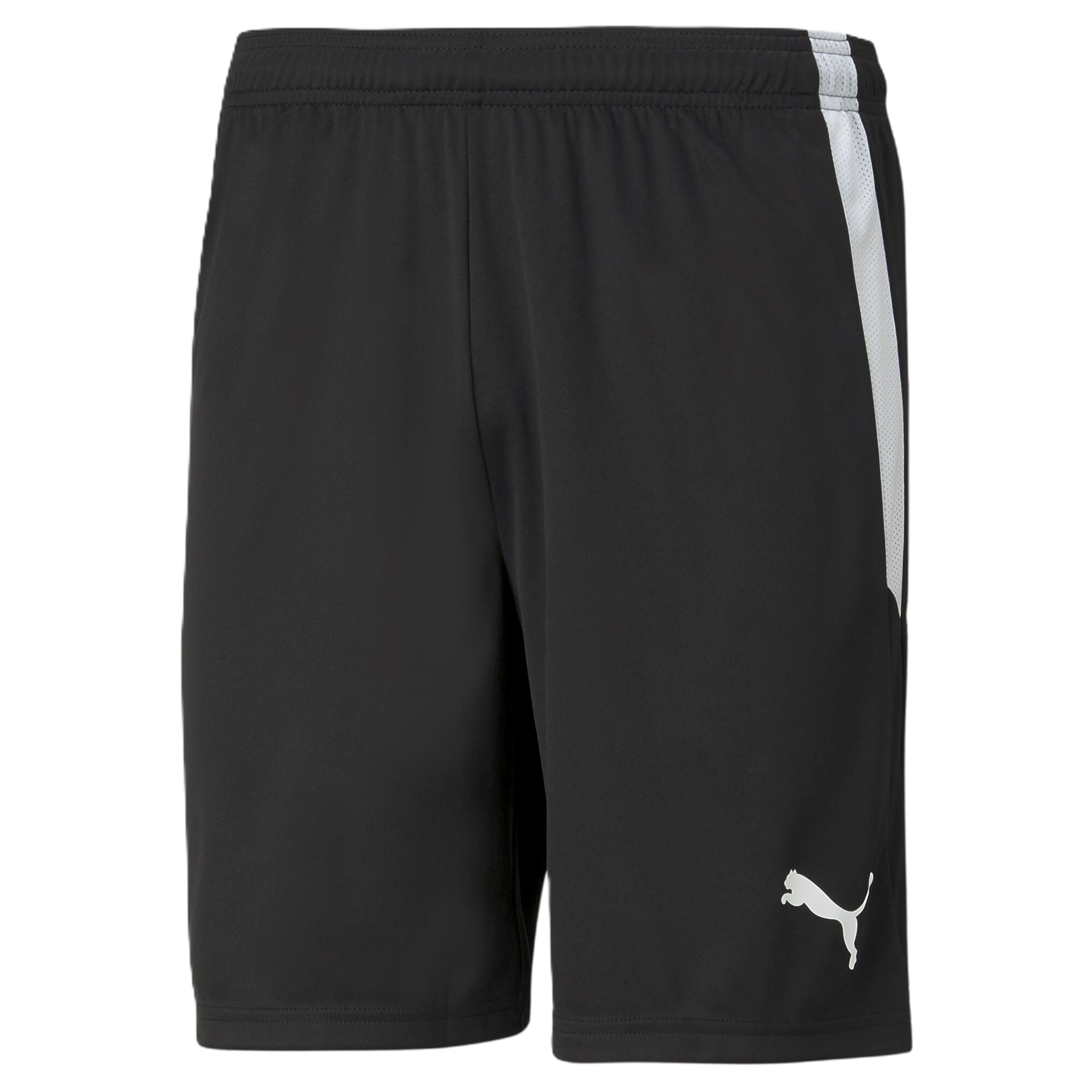 Puma TEAMLIGA shorts