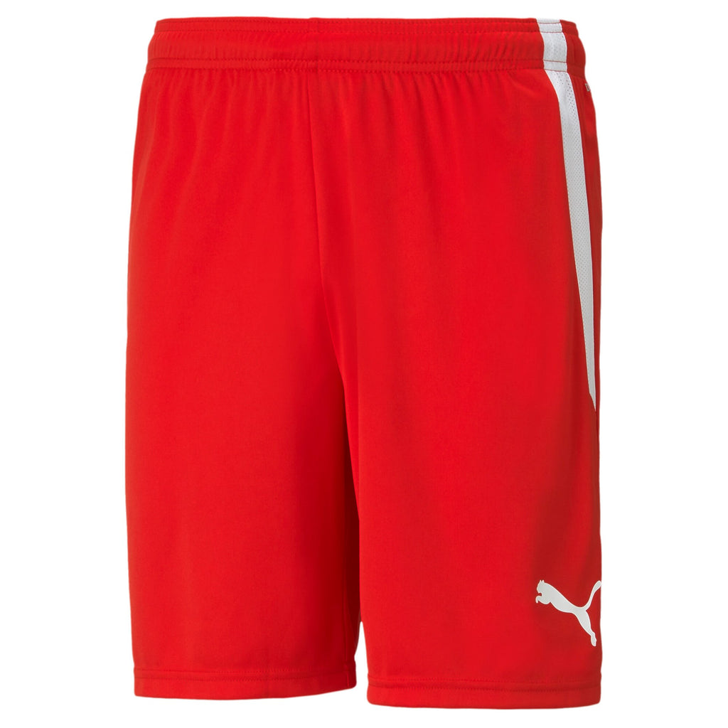 Puma TEAMLIGA SHORTS Voksen x 13 stk.