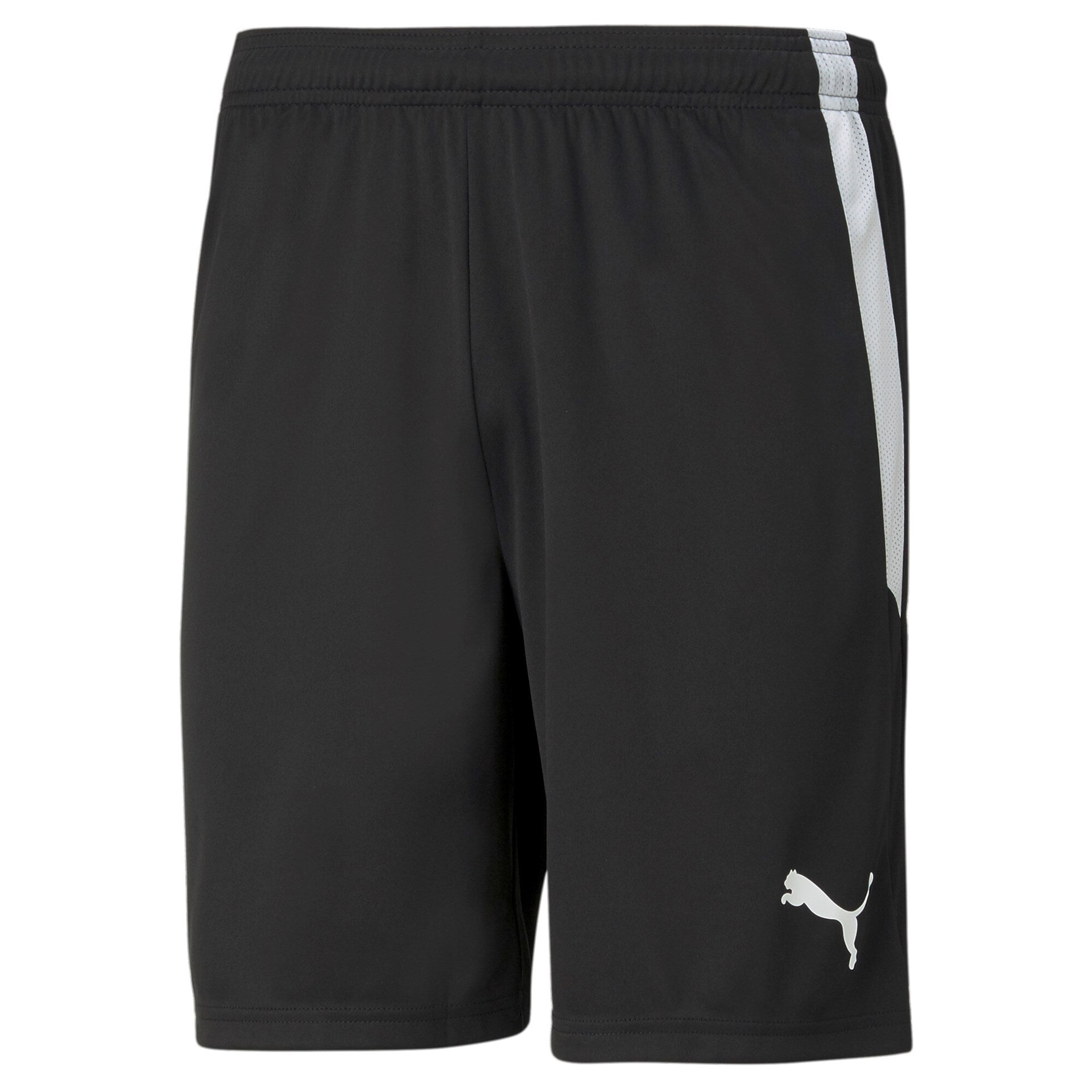 Puma TEAMLIGA SHORTS Voksen x 13 stk.