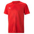 Puma TEAMGLORY Spillertrøje til børn